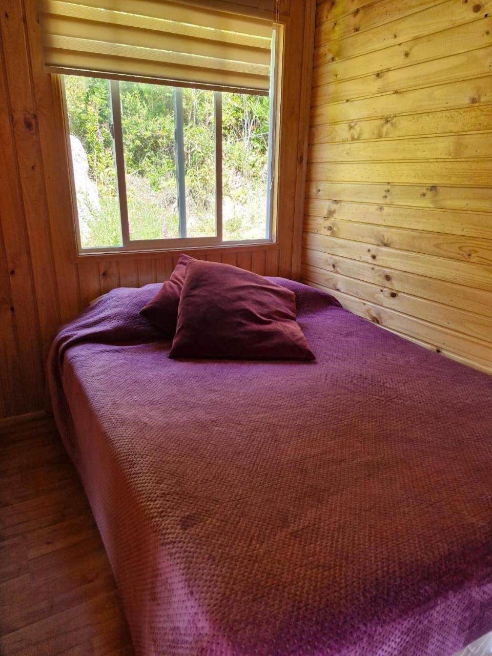 Refugio Chincol Chalé